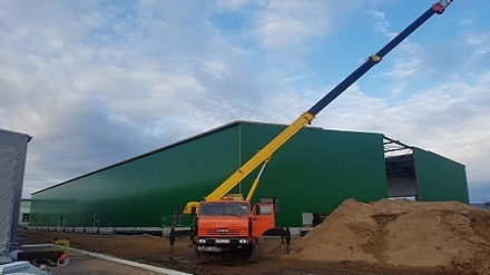 витекс